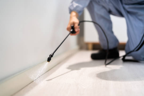 Licensed Rodent Control service in Lyndon, KS - Nex Pest Control