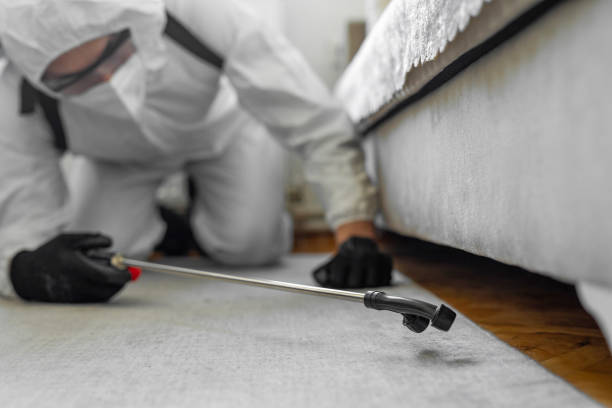 Professional Rodent Control technician working in Lyndon, KS