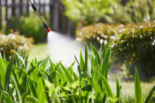 24/7 Emergency Rodent Control experts in Lyndon, KS