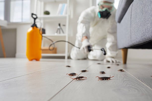 Trusted Cockroach Control service in Lyndon, KS - Nex Pest Control
